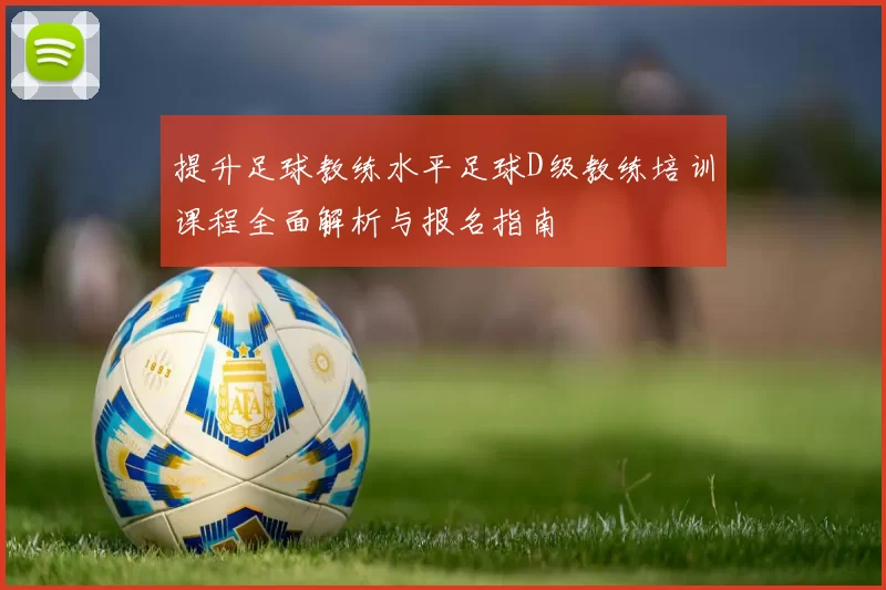 提升足球教练水平足球D级教练培训课程全面解析与报名指南
