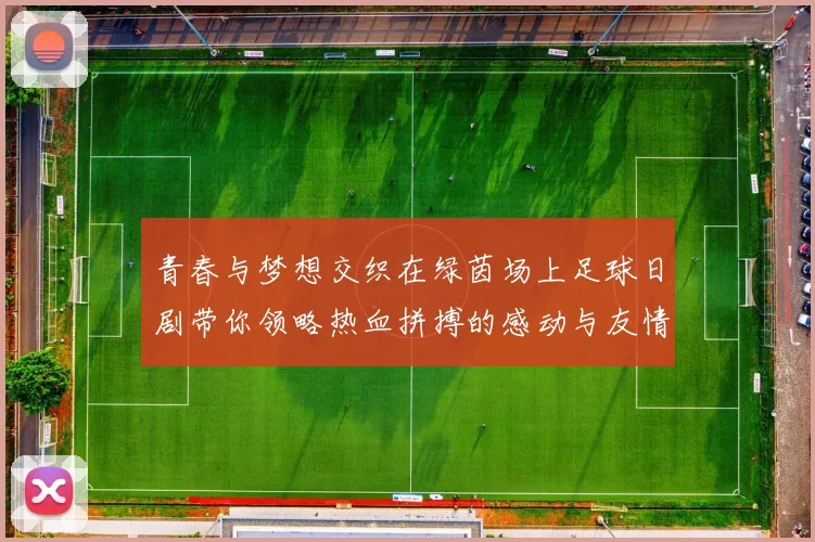 青春与梦想交织在绿茵场上足球日剧带你领略热血拼搏的感动与友情