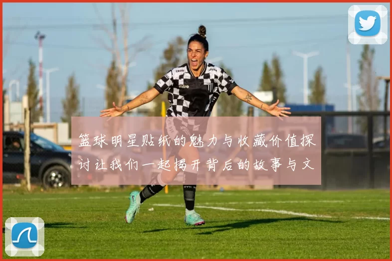 篮球明星贴纸的魅力与收藏价值探讨让我们一起揭开背后的故事与文化