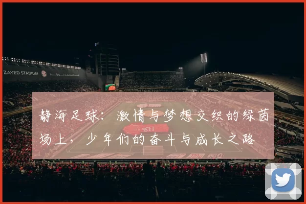 静海足球：激情与梦想交织的绿茵场上，少年们的奋斗与成长之路