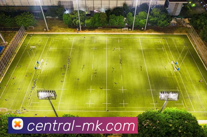 MK体育平台生态图