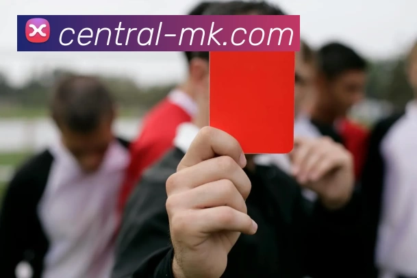 MK体育APP 封面图